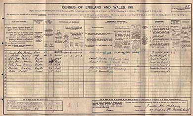 The census schedule of the Mahony family, Middlesbrough on Teesside, North Riding. The National Archives.